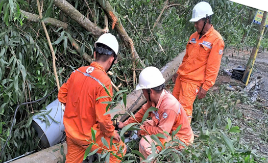 Ngành Điện miền Nam: Cảnh báo nguy cơ mất an toàn điện mùa mưa bão